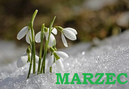 Marzec
