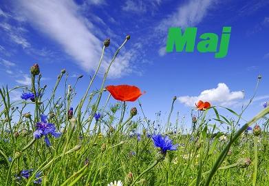 Maj