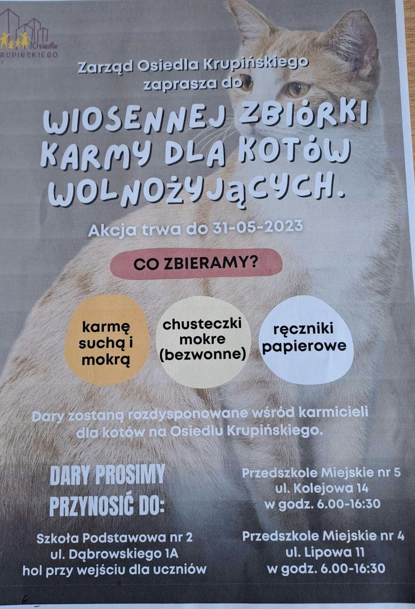 Zbi&oacute;rka karmy dla kot&oacute;w
