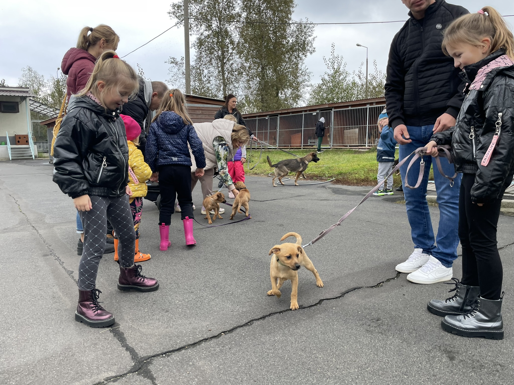 Wizyta przedszkolak&oacute;w w schronisku dla zwierząt