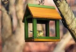 "Najpiękniejszy Karmnik"