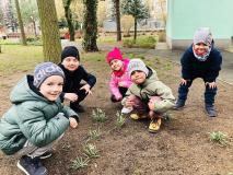 W poszukiwaniu wiosny