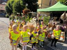 Relacja  z Dnia Drzewa