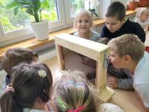 Warsztaty pszczelarskie