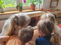 Warsztaty pszczelarskie