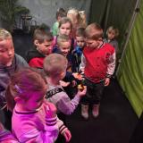 Amazing Butterflies – Wystawa żywych motyli w Aquapark Polkowice