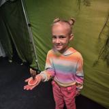 Amazing Butterflies – Wystawa żywych motyli w Aquapark Polkowice