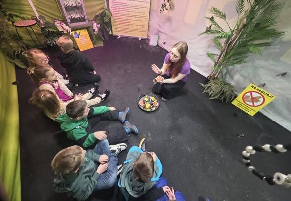 Amazing Butterflies – Wystawa żywych motyli w Aquapark Polkowice