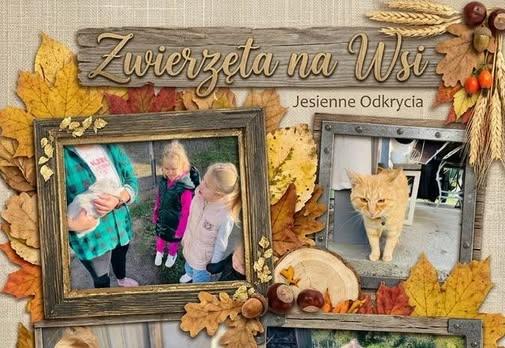 w gospodarstwie Klary